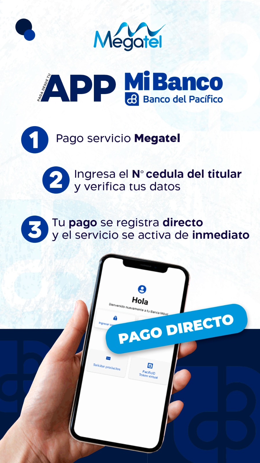 Instrucciones de pago